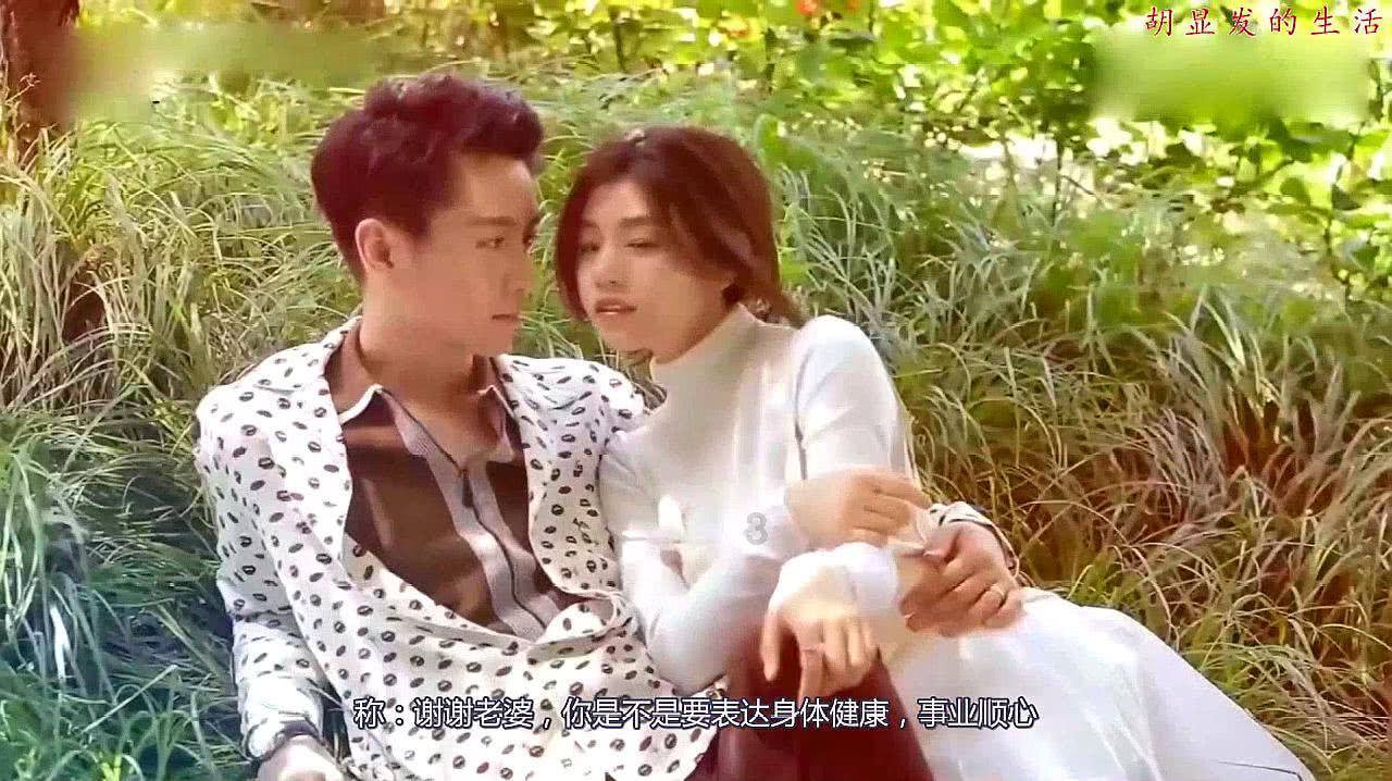 全球贸易之窗与新西兰企业线上交流会举行