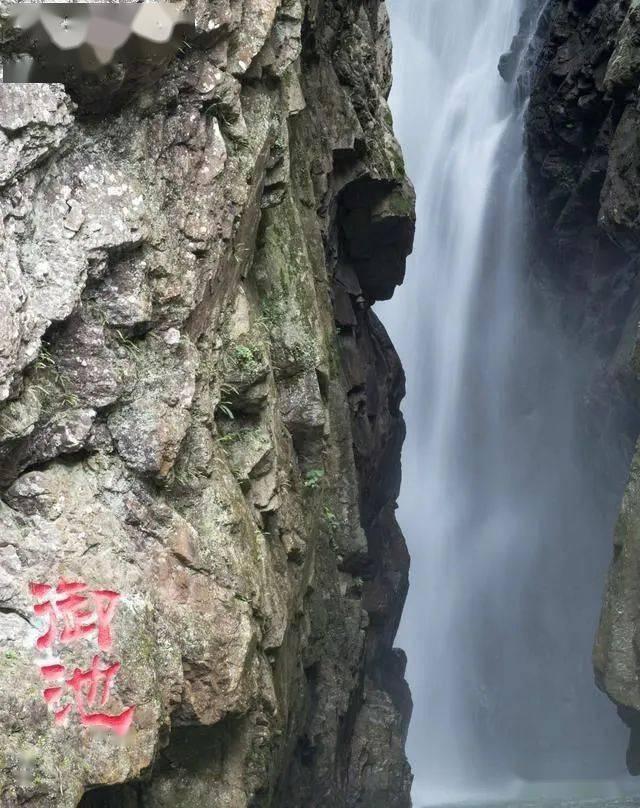 全国第5名！临沂市高质量推进社会信用体系建设取得新突破