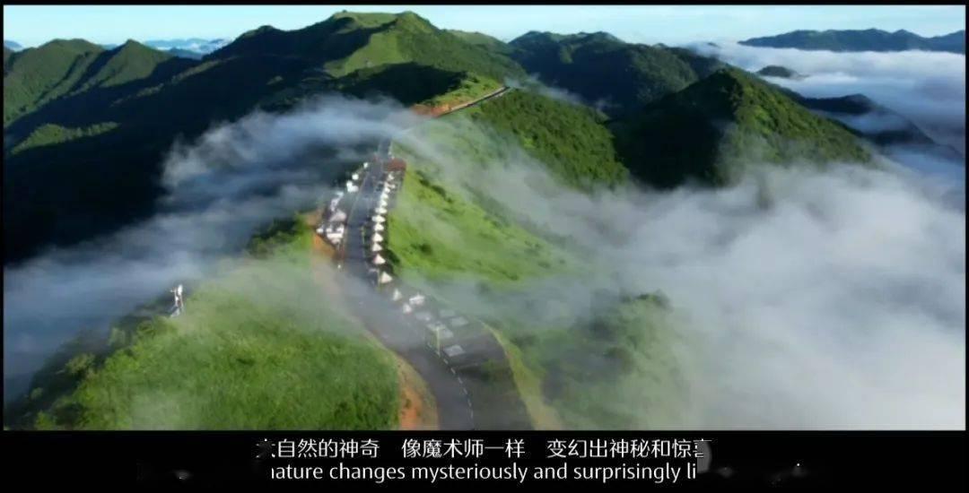 芭比大学毕业