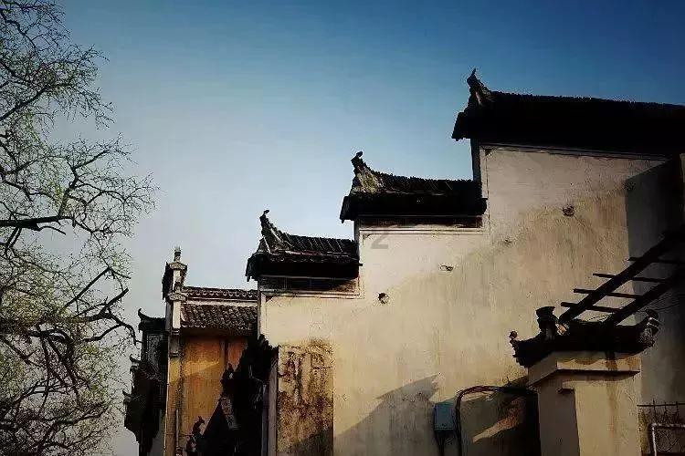 《黑土无言》逻辑全乱了,忙里忙外查了11集案